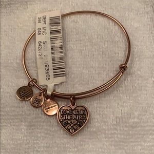 Alex and Ani Love Is In The Air Bracelet NWT